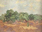 Vincent Van Gogh Olive Grove:Pale Blue Sky (nn04) Germany oil painting reproduction